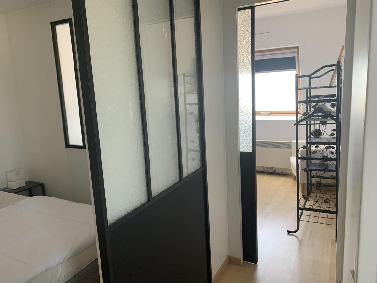 Appartement Avec Terrasse Panoramique, Acceptant Les Animaux, Parking - Fr-1-487-281 卡布尔 外观 照片